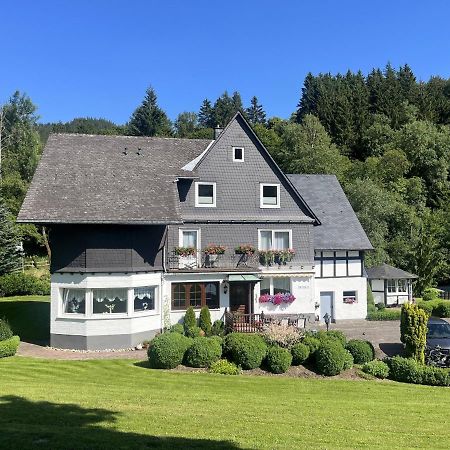 Haus Schmitten Winterberg Esterno foto
