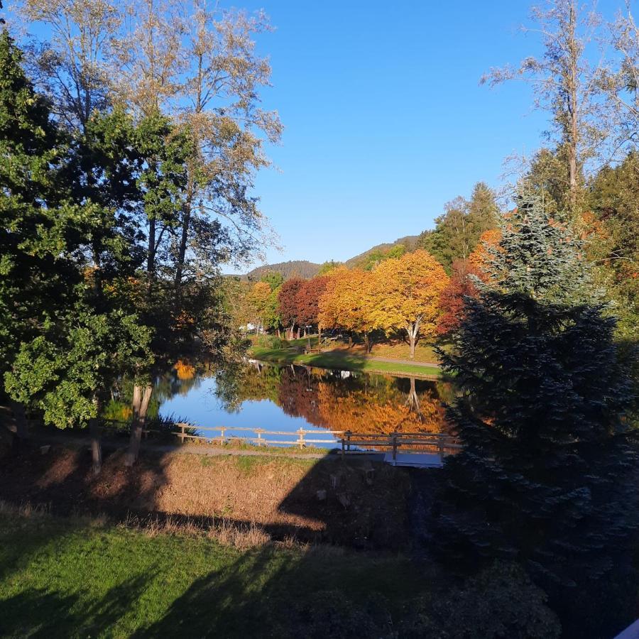 Haus Schmitten Winterberg Esterno foto